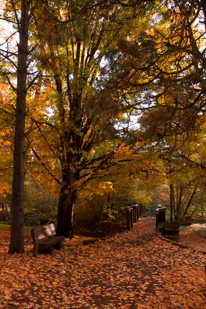Herbstliche Gartenreinigung im Zabergäu