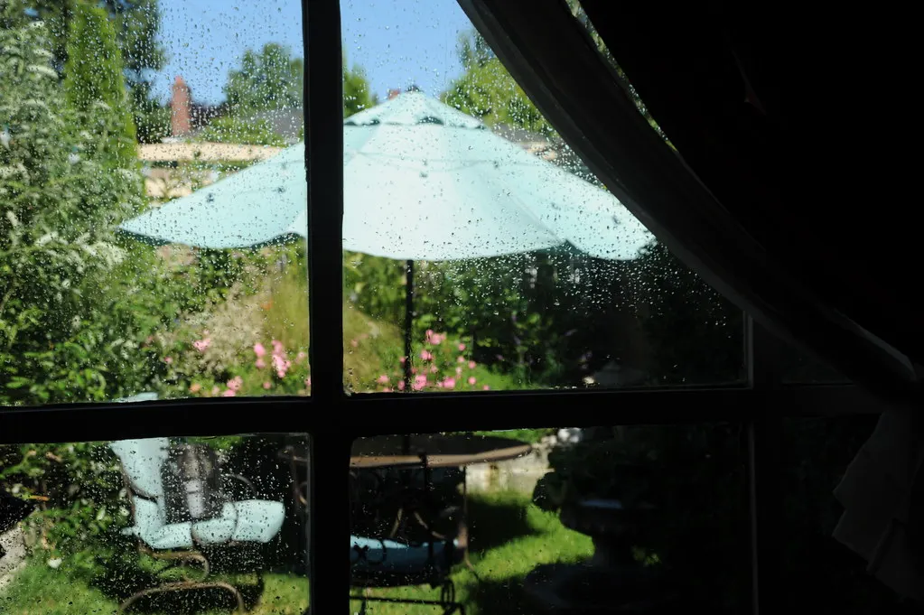 Derselbe Garten nach der Pflege durch Gartenpflege SH Morina in Brackenheim