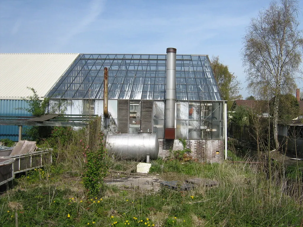 Ungepflegter Garten vor der Pflege durch Gartenpflege SH Morina